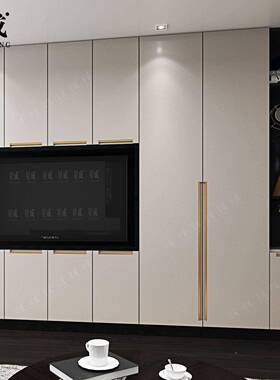 轻奢FCK世亚静喷粉洛柜门客电视柜抽屉柜吊柜厅带金属拉手电橱柜