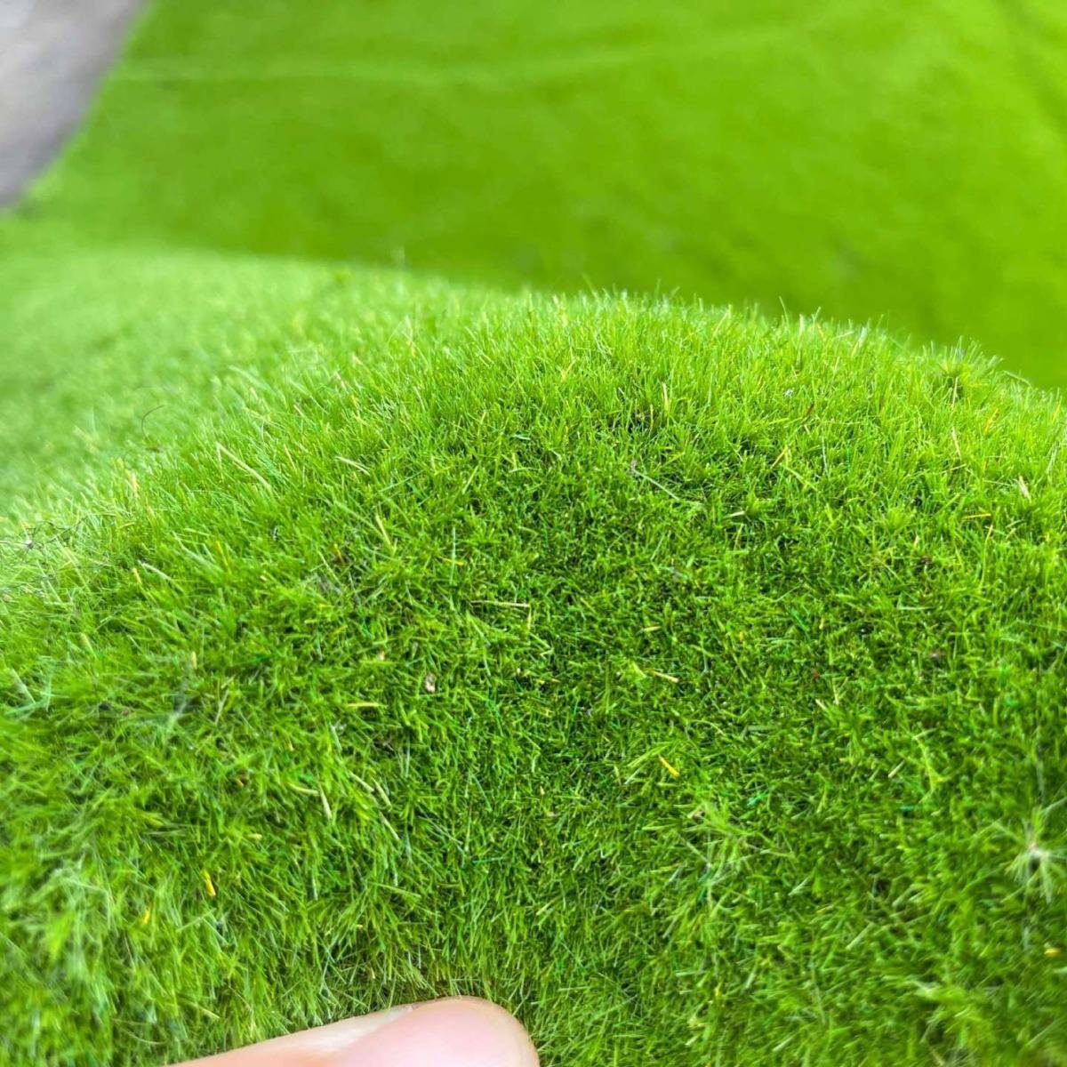 仿真苔青草皮苔藓草坪微YZD景观绿景装饰植造墙布置假草坪人造草