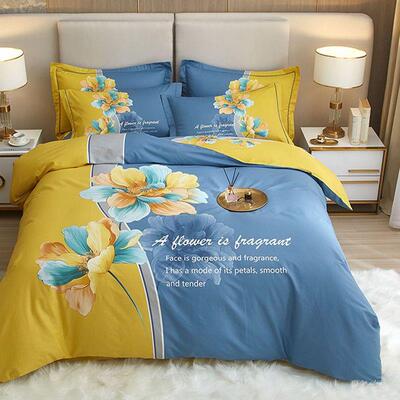 H7J端纯棉斜纹四件套10全棉布料宫廷被套罩床四季通用中0DNU式上