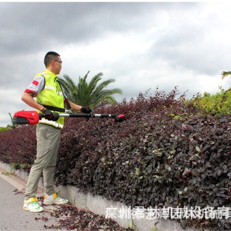 锂电充电伸缩高枝剪绿篱机