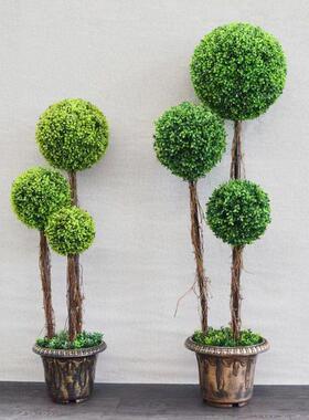 仿真草球盆景套装大号落树地米球兰草球绿KBO植球盆栽客厅装植饰