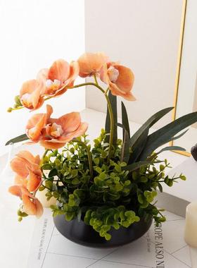 仿真蝴蝶兰橙色饰假花新式古典盆书栽客中厅房餐桌WwzfdZhs装绿植