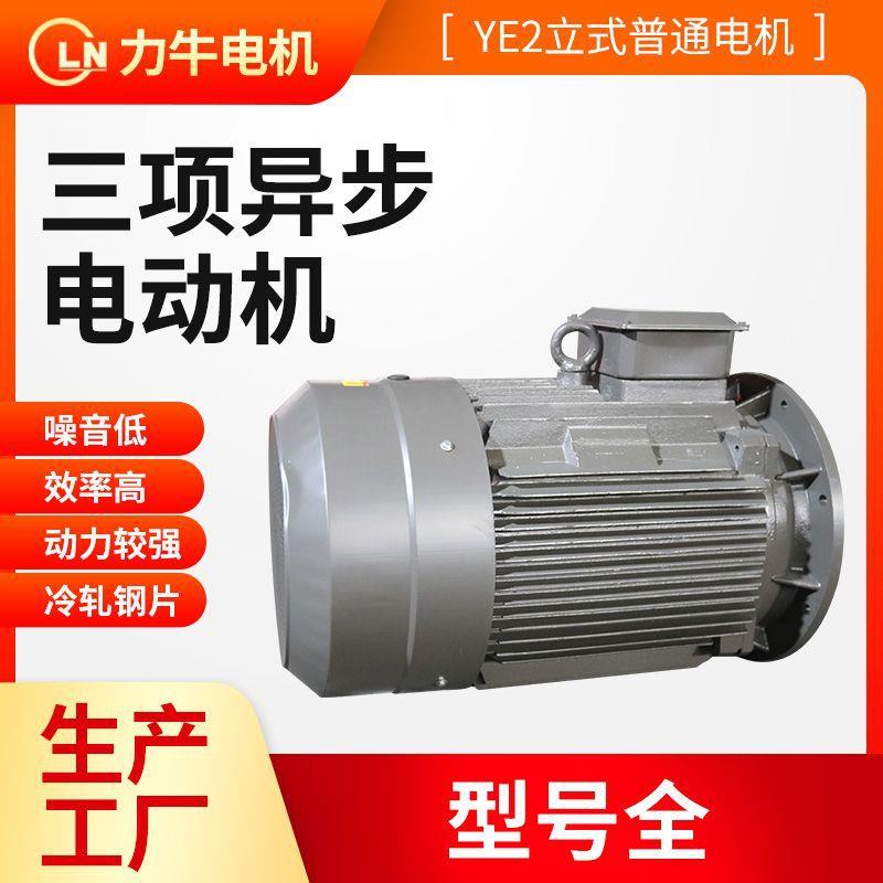 高效率三相异步电动机厂家380V纯铜线电机马达立式卧式三相电机