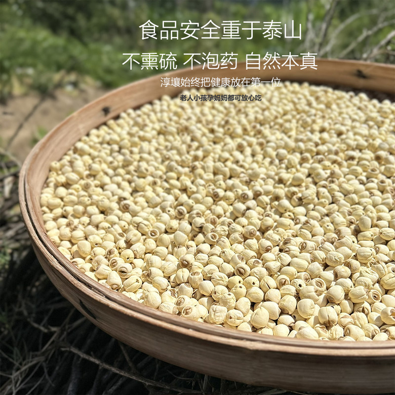 2025年新鲜带芯莲子干货广昌农家去芯手工无熏硫精品白莲子500g