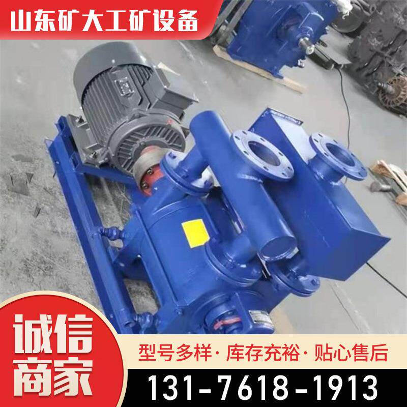 矿大DSX煤动矿用电水环式真空泵2BE水环真空泵瓦斯放式泵抽真空泵