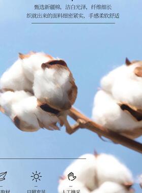 夏季品纯EX230309床上件套全棉床棉绿色被套学生宿舍床单人三件套