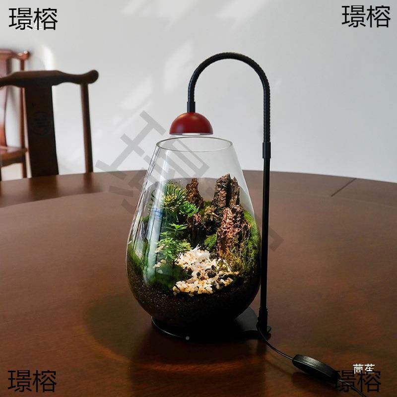 小红族微景L观灯ED瓶造景苔藓鱼缸水全光谱蕨帽类补ZGQ光植物灯
