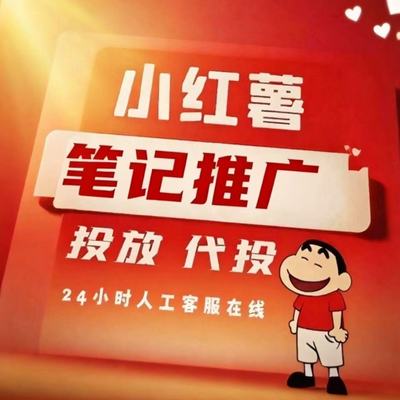 小红 xhs书优化推广小红薯0基础起号笔记预热策划IP提升综合服务