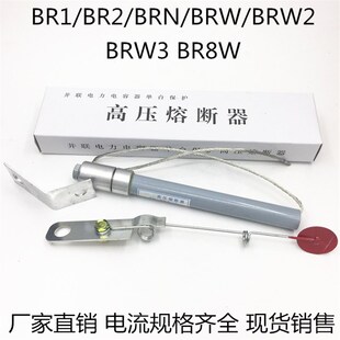 49A BR2 BRN 42A 45A 43A BRW BR1 50A高压熔断器 46A 48A 10KV