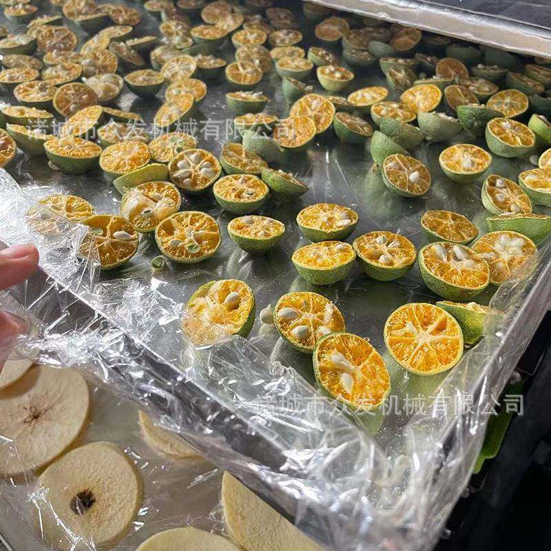 水果小橘子冷冻干燥设备柠檬片30平冻干机中药饮片低温冻干机器,五金/工具,其他机械五金,淘宝优惠券,粉丝福利购,淘宝优惠卷