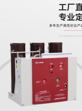11V户内高压真空断路器ZN63固定固封筒装式6V真空断路器VS1