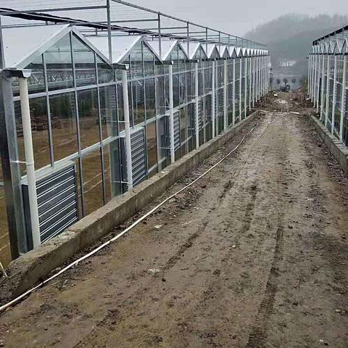 通风降温风机殖YOY大风量推拉式负压风机畜牧养大棚负压风机