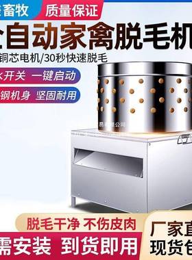家禽脱毛机电动拔自毛机拔器毛全脱动拔毛家IEI用毛机鸡鸭鹅拔毛