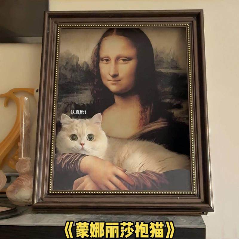 跨时高挡窝立体油画一体相框空窝猫爪板52创意宠物猫玩具四季通猫,宠物/宠物食品及用品,猫窝/屋/帐篷/沙发,淘宝优惠券,粉丝福利购,淘宝优惠卷