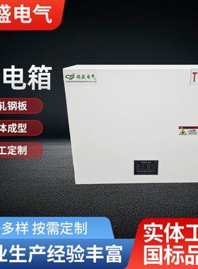 厂家供应TY-TJX配电箱壁挂式强弱电布线箱明装配件齐全小区基业箱