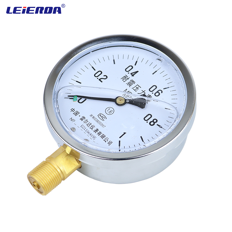 雷尔达 耐震防震抗震压力表YN100充油表 气压油压水压真空表 负压