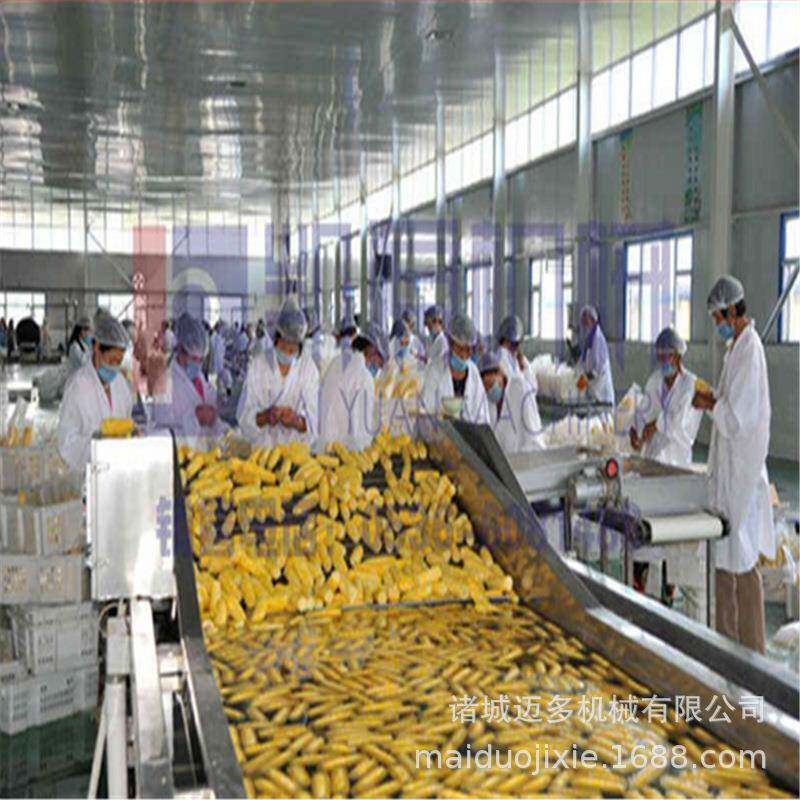 食品加工设备生产线输送系统自动化加工机械工业化设备