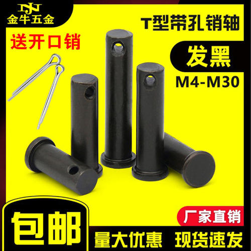 GB882发黑平头带孔销轴T