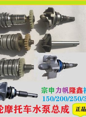 三轮车摩托车水冷发动机水泵总成宗申200悍威隆鑫力帆福田大江150