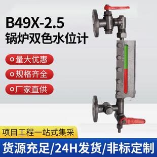 锅炉双色水位计B49X-2.5管接式传感耐用锅炉平板液位计锅炉水位计