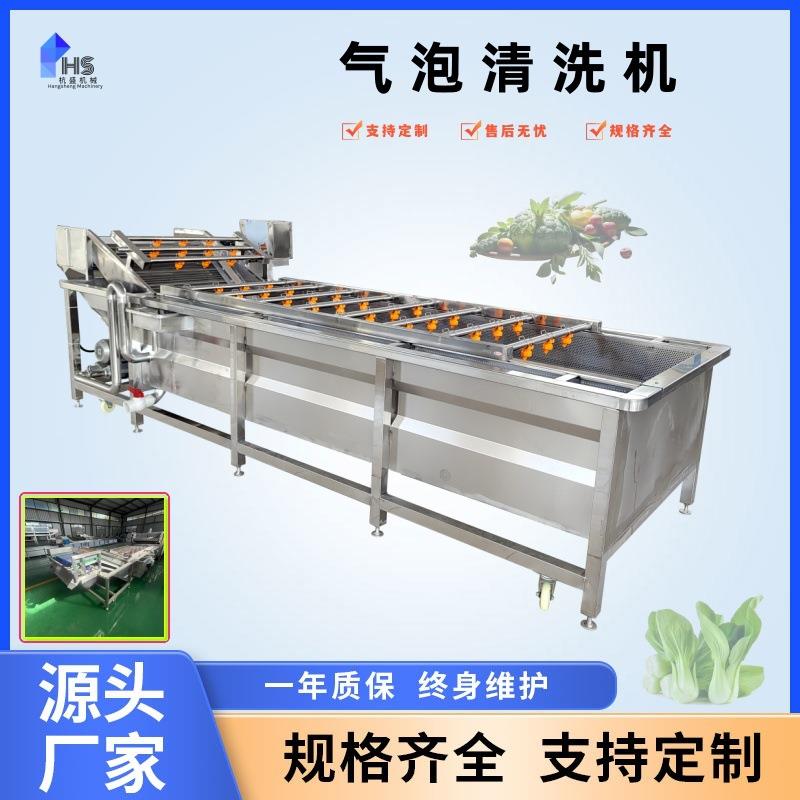 中药材气泡清洗设备红枣辣椒秋葵气泡清洗机全自动气泡清洗机
