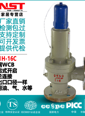 A41H Y-16C WCB铸钢弹簧微启式 全封闭法兰安全阀 水用DN15-DN250