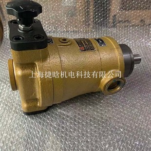 31.5MPa 80YCY14 63YCY14 变量轴向柱塞泵 参数尺寸图 1BF