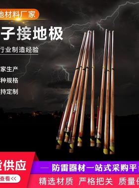 离接地极防解雷垂接直接地电缓释子防腐NFJ离子地极防雷接地