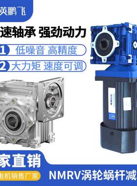 NMNMRV30RV30涡轮蜗杆小型减-速步机配-进伺服调速电机rv9040-506