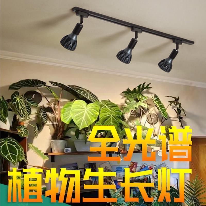 ed全谱植物补光灯块根龙舌兰鹿角蕨多l2036肉热植长灯鱼缸生光爆