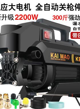 铜线压凯牌新品高洗车机家用清洗猫FLS-22012机便携式大功率20V铜