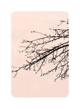 201/304彩色镜面不锈钢板 酒店KTV装饰工程玫瑰金不锈钢镜面板