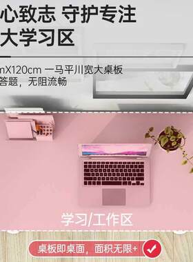 儿大童学习降桌学生书桌家用电脑桌升白桌子实木大桌椅BCU写字桌
