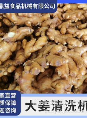果蔬气泡清洗机 优质毛辊清洗去皮机 贝壳类海鲜清洗设备 去泥机