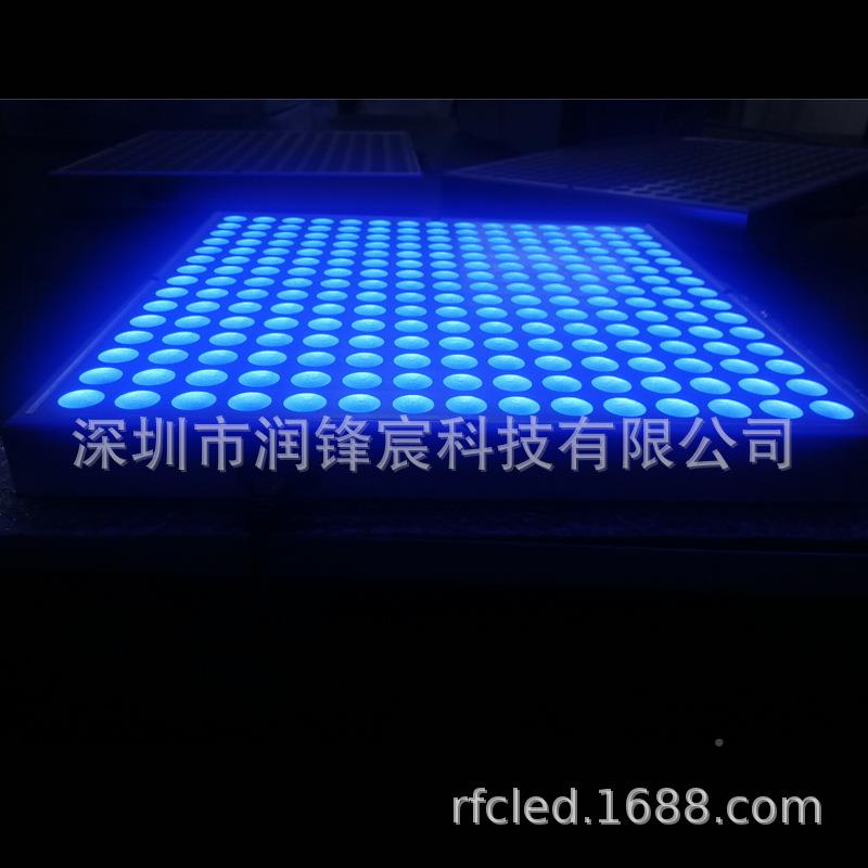 新品245W25灯全蓝植物物1补光灯55W4W紫萝兰LED植补光灯育苗种植