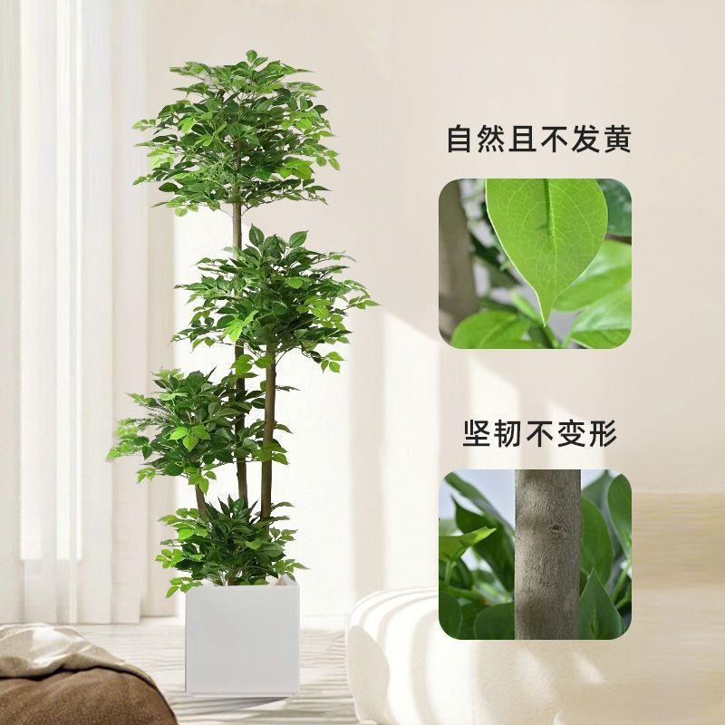 仿真幸福树大栽假植绿植客zMNQeJ4c厅物大型落地盆植物发财树室内