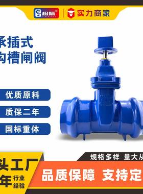 Z85X-16Q承插式沟槽闸阀暗杆软密封闸阀城市给排水管网管道设备