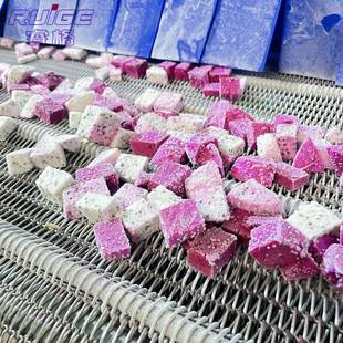 大型隧道式速冻机秋葵胡萝卜丁速冻机毛豆黄桃速冻机厂家直销