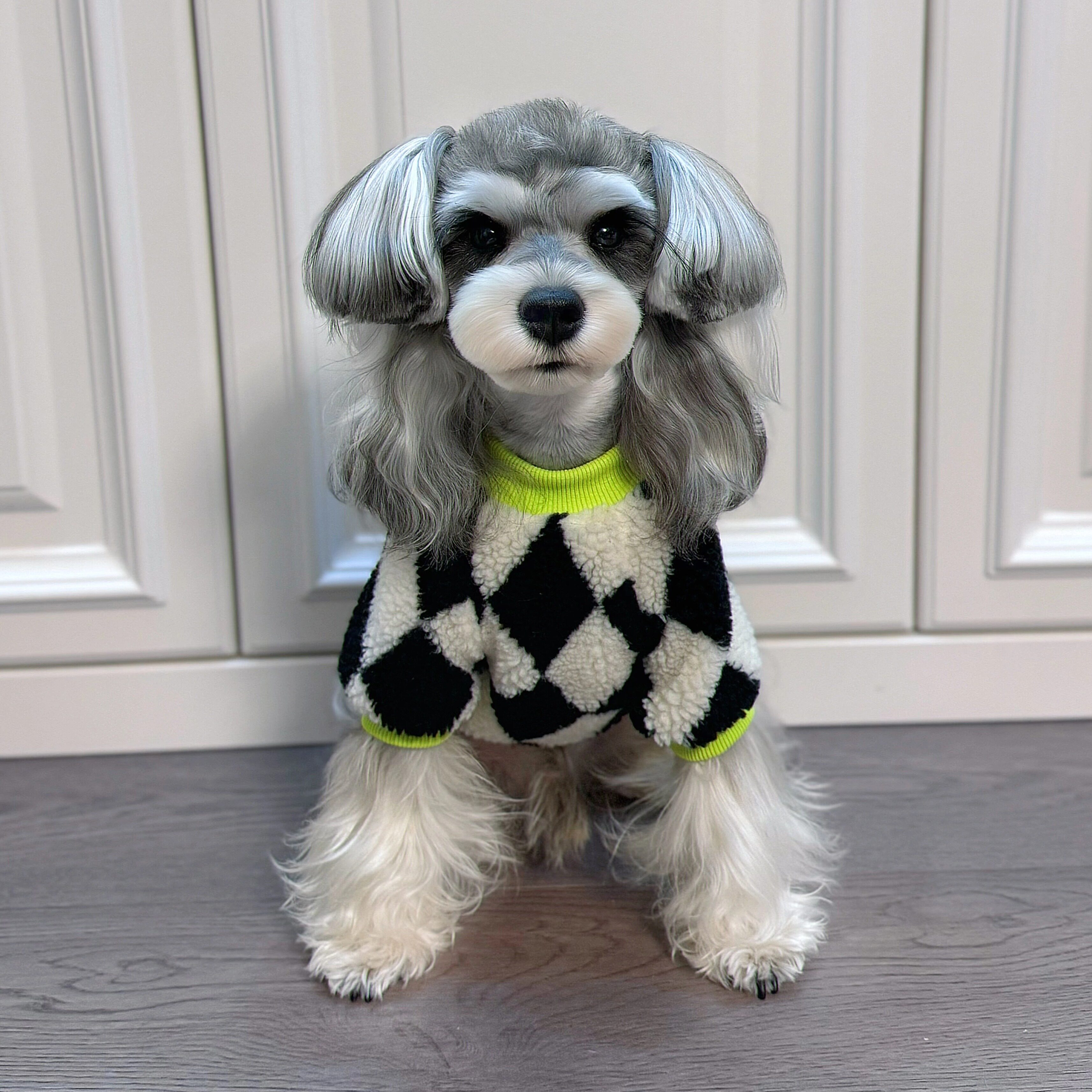 宠物秋冬衣服棉衣雪纳瑞泰迪西高地约克夏比熊柴犬猫咪冬季卫衣厚