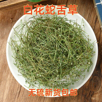 白花蛇舌草中药材500g新鲜百花蛇舌草泡水煮水百花蛇草中药材功效