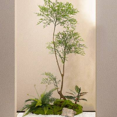 绿植南造景室内楼梯下景观10076629植物天橱盆竹落地栽窗装饰假树