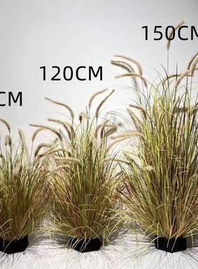 玄硕狗尾PPE巴草仿真花芦苇草假箱草仿绿植毛毛虫猫尾草假饰花真
