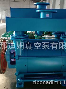 2BEWGG真空泵泵2BE25水环式真空2BE125-3真空泵45K3W55KW75KW真空