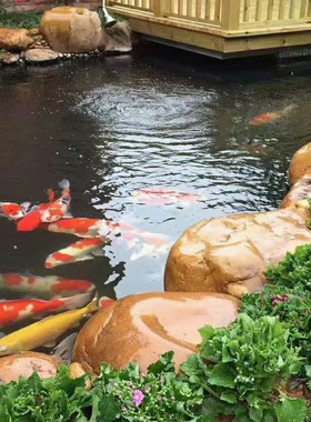 大型天然黄蜡石园林庭院造景石