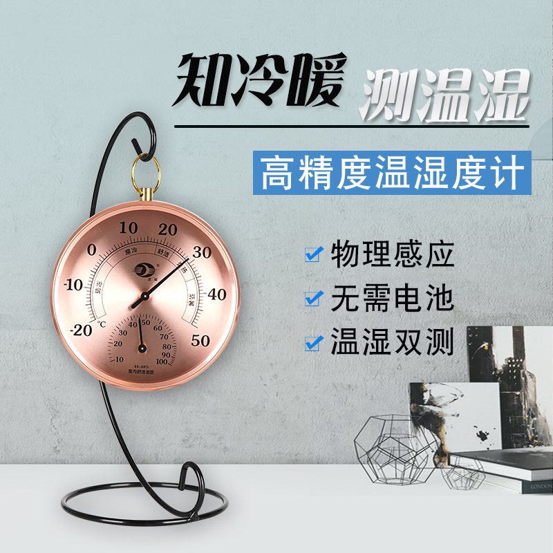 欧式挂件室内温湿度计家用精准创意摆件温度计儿童房干湿温度表