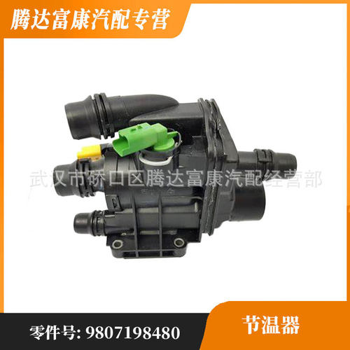 适用于标志208 2008 308 3008 DS3 DS4 发动机节温器 9807198480