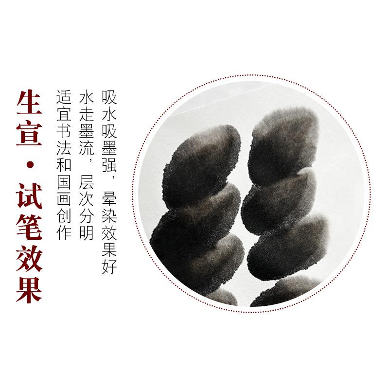 生四尺书国画创作专用加意RWT厚檀皮宣花鸟写砑光法作品颜料宣纸