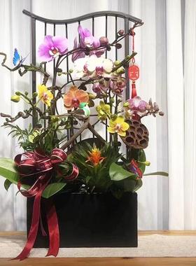 祥云新中ASBK1912式蝴蝶装兰架仿真植物花花简约轻奢年宵盆花盆栽