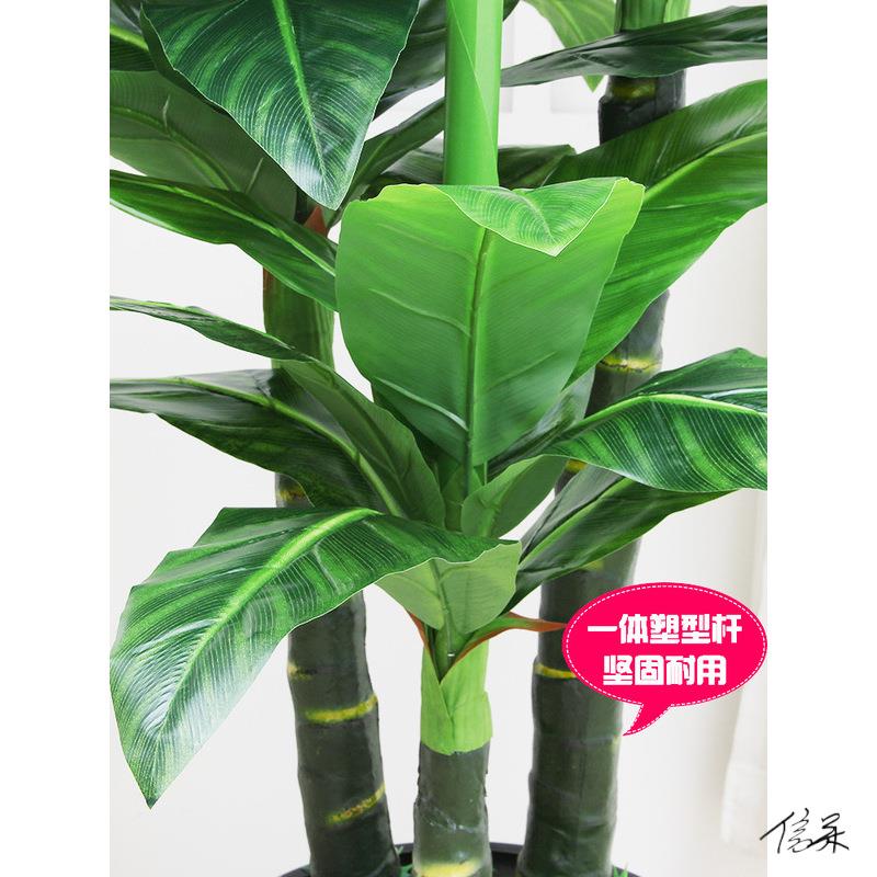 琴叶榕盆栽影摄植物酒客店仿生ZAX假绿植厅摆件假树落地假门花口