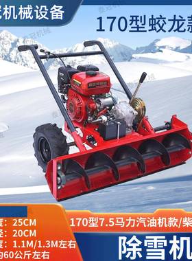 区除蛟雪机路面手铲雪大棚EQH小物业道路清推雪除雪机龙式除雪机